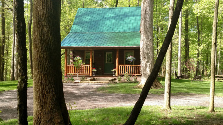 cabin wooded setting